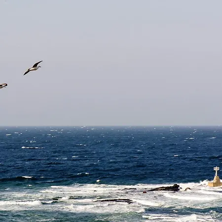 Maria Apart-hotel Carevo