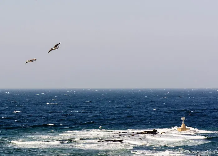 Maria Aparthotel Zarewo